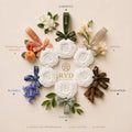 The Complete FLEUR